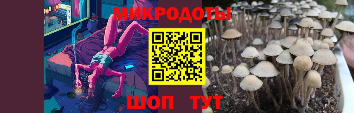 Псилоцибиновые грибы прущие грибы Великий Новгород