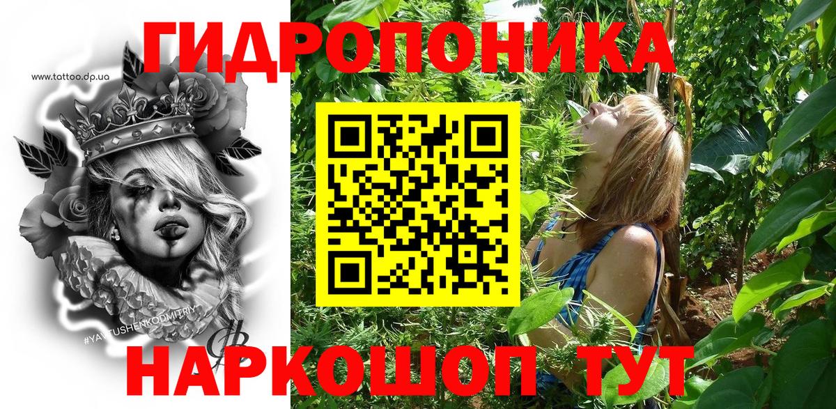 Марихуана Ganja Великий Новгород